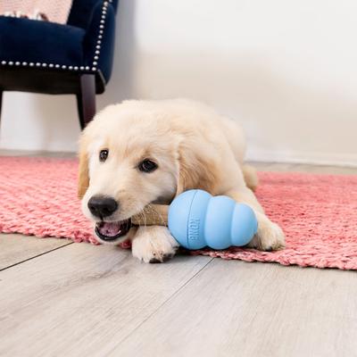 KONG Stuff'N Puppy Ziggies Dog Treats