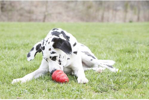 Show full view: KONG Stuff'N Real Peanut Butter Dog Treat, 10-oz bundle slide 7 of 9
