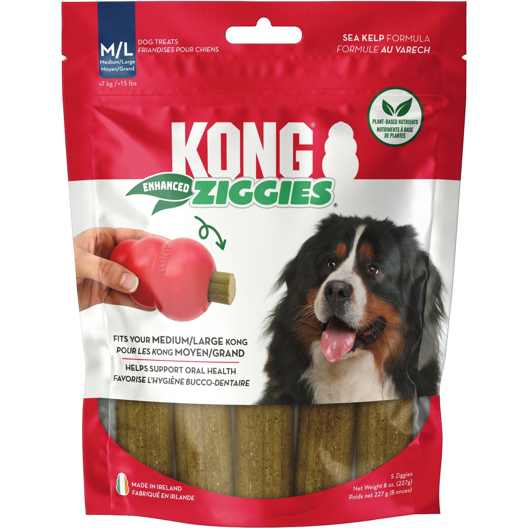 KONG Enhanced Ziggies Plant Based Dog Chew, Large, 5 count