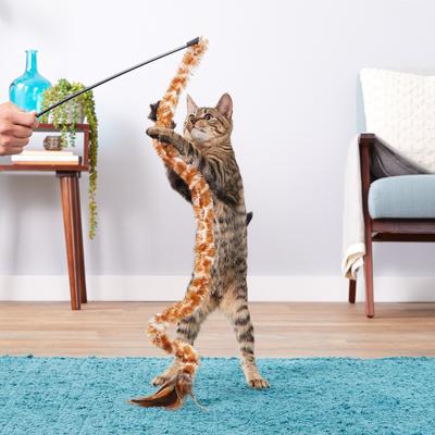 Show full view: KONG Swizzle Bird Cat Teaser, Color Varies slide 5 of 8