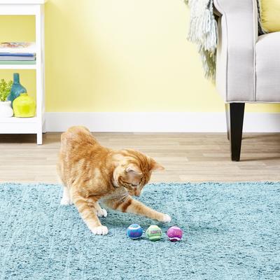 Show full view: KONG Tennis Balls with Bells Cat Toys, 3 count slide 8 of 10