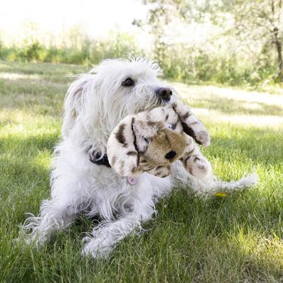 Show full view: KONG Toughz Pup Squeaky Plush Dog Toy, Tan, Medium slide 4 of 4