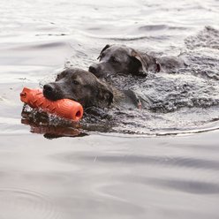 KONG Training Dummy for Dogs, Large slide 2 of 5