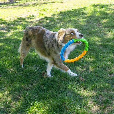 Show full view: KONG Twistz High-Viz Dog Ropes Tug Toy Ring, Multicolor, Large slide 4 of 5
