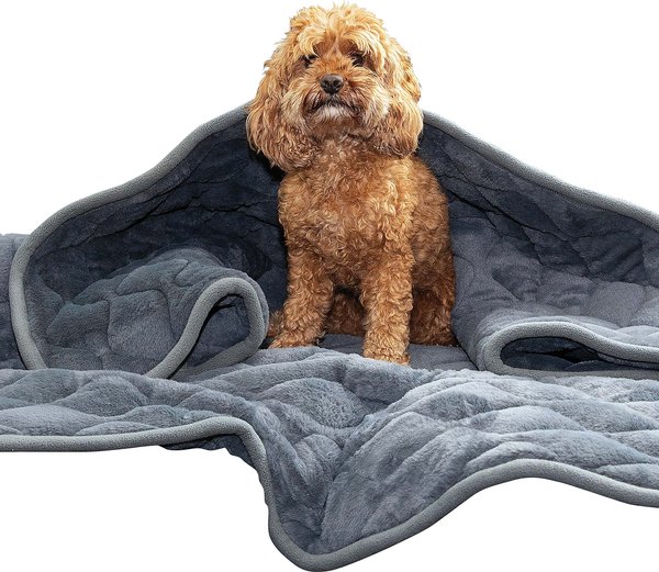 Dog Anxiety Blanket Are Weighted Blankets Ok For Dogs Gravity