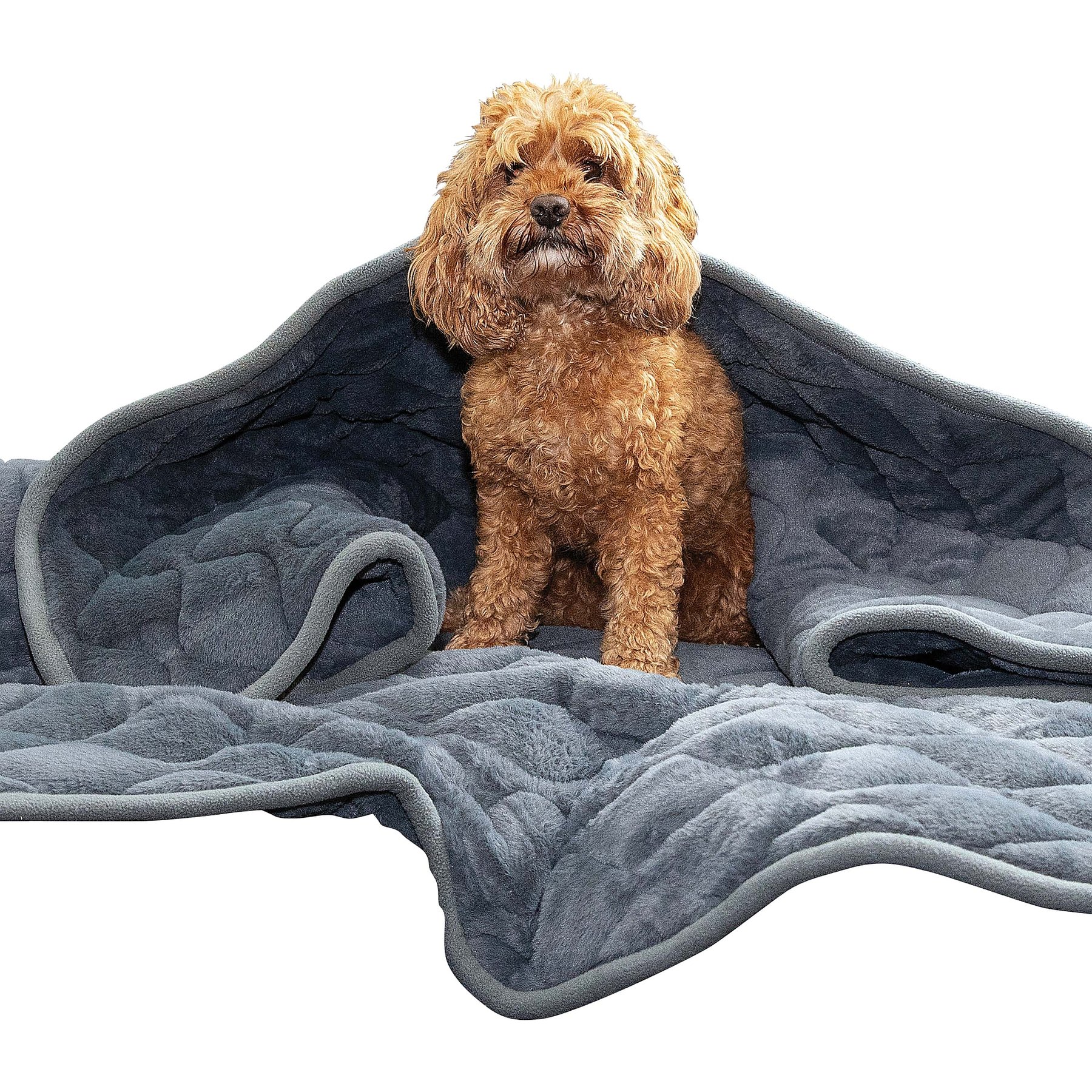 KONG Weighted Calming Dog Blanket, Grey, 58 x 53-in - Chewy.com