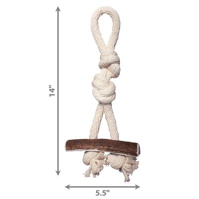 Show full view: KONG Wild Elk Antler Dog Toy, Large/X-Large slide 2 of 8