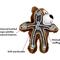 Show in main carousel: KONG Wild Knots Bear Dog Toy, Color Varies, Small/Medium slide 5 of 8