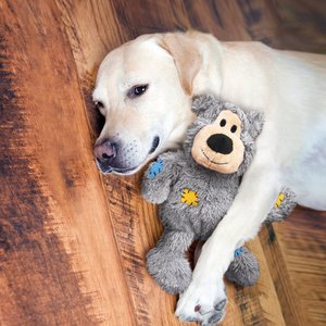 KONG Wild Knots Bear Dog Toy, Color Varies, X-Large