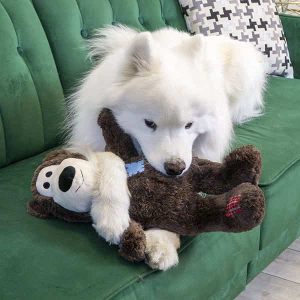 KONG Valentine's Day Wild Knots Bear Squeaky Dog Toy, Medium/Large
