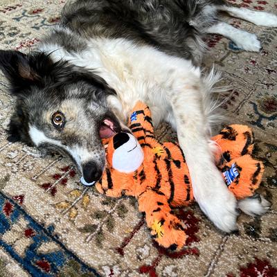 Show full view: KONG Wild Knots Tiger Dog Toy, Orange, Medium/Large slide 4 of 5