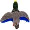 Show in main carousel: KONG Wild Low Stuff Mallard Tough Squeaky Dog Plush Toy, Multicolor, Medium slide 5 of 6