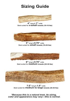 Show full view: KONG Wild Split Elk Antler Dog Chew, Medium slide 7 of 11