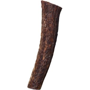 KONG Wild Whole Elk Antler Dog Chew, Large