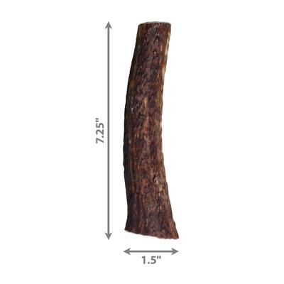Show full view: KONG Wild Whole Elk Antler Dog Chew, Large slide 3 of 7