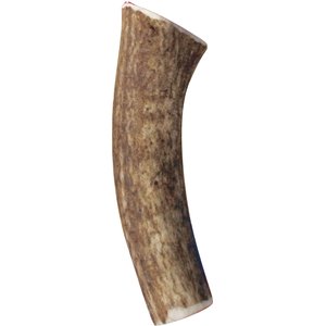 KONG Wild Whole Elk Antler Dog Chew, Medium