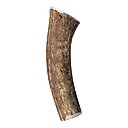 KONG Wild Whole Elk Antler Dog Chew, Medium