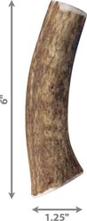 KONG Wild Whole Elk Antler Dog Chew, Medium slide 2 of 4