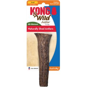 KONG Wild Whole Elk Antler Dog Chew, Small