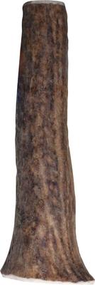 Show full view: KONG Wild Whole Elk Antler Dog Chew, Small slide 5 of 10