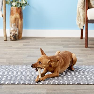 Show full view: KONG Wild Whole Elk Antler Dog Chew, X-Small slide 4 of 10