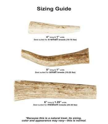 Show full view: KONG Wild Whole Elk Antler Dog Chew, X-Small slide 6 of 10