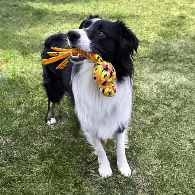 Show full view: KONG Wubba Ballistic High-Viz Squeaky Dog Plush Toy, Multicolor, Large slide 5 of 6