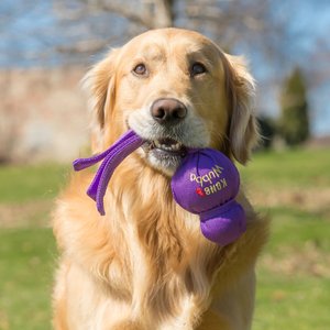KONG Wubba Classic Dog Toy, Color Varies, Large