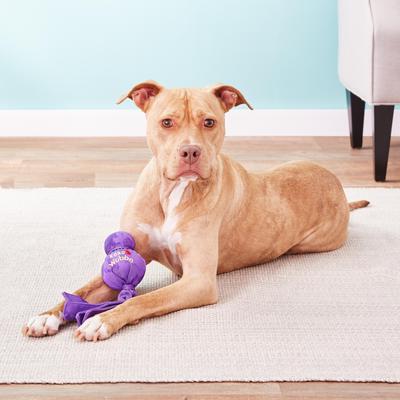 Show full view: KONG Wubba Classic + Tugga Wubba Dog Toy slide 5 of 10