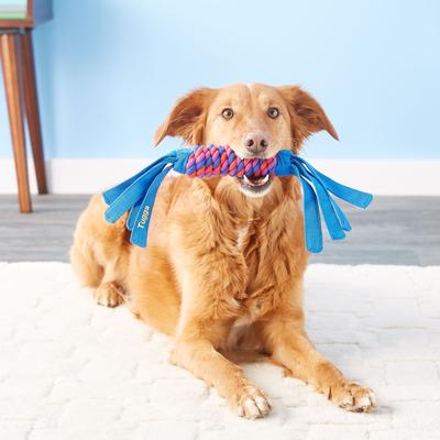 Show full view: KONG Wubba Classic + Tugga Wubba Dog Toy slide 9 of 10