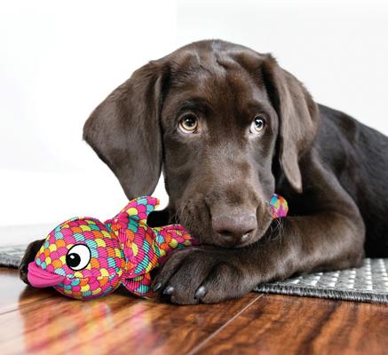 Show full view: KONG Wubba Finz Dog Toy, Blue, Large slide 3 of 6