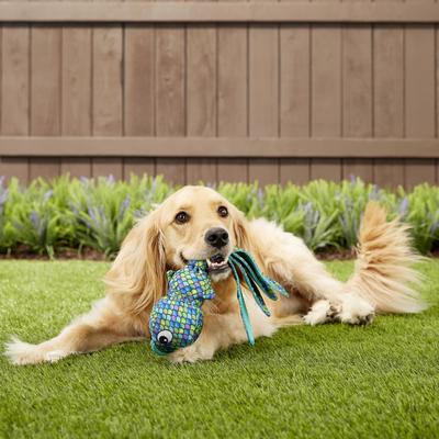 Show full view: KONG Wubba Finz Dog Toy, Blue, X-Large slide 3 of 6