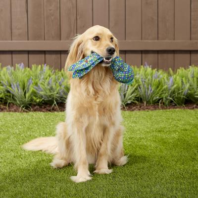 Show full view: KONG Wubba Finz Dog Toy, Blue, X-Large slide 4 of 6