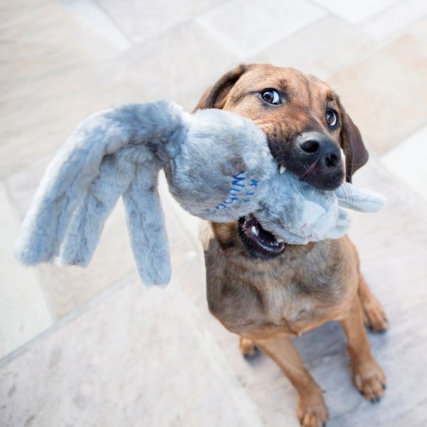 KONG Wubba Friend Dog Toy, Character Varies