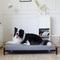 Show in main carousel: KOPEKS Orthopedic Elevated Bolster Dog Bed with Removable Cover, Gray, X-Large slide 1 of 7