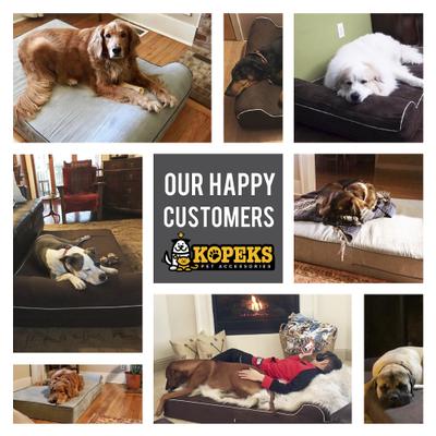 Show full view: KOPEKS Orthopedic Pillow Dog Bed with Removable Cover, Brown, Large slide 9 of 12