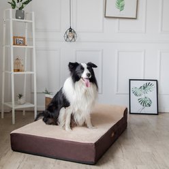 KOPEKS Orthopedic Pillow Dog Bed with Removable Cover, White & Brown, X-Large