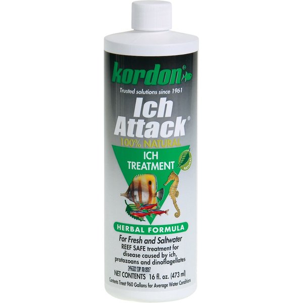 Kordon Ich Attack fish medication bottle