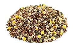 Kruse's Perfection Brand Economy 13% Protein Pigeon Food, 50-lb bag slide 2 of 2