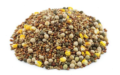 Show full view: Kruse's Perfection Brand Economy 13% Protein Pigeon Food, 50-lb bag slide 2 of 2