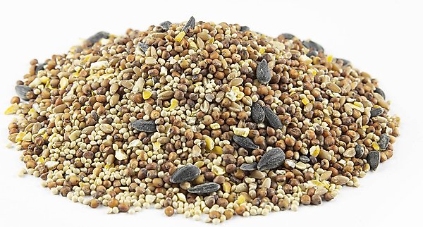 Show full view: Kruse's Perfection Brand Wild Bird Food, 40-lb bag slide 3 of 6