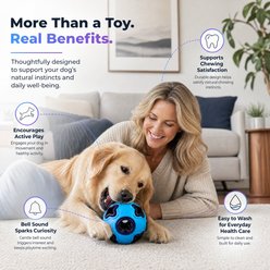 Kseroo 4-Corner Light-Up Ball Dog Toy, Blue/Purple, Large slide 2 of 7