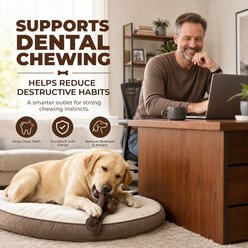 Kseroo Activity Combination Chew Bone Bacon Flavored Nylon Dental Care Dog Toy, Dark Brown slide 2 of 9