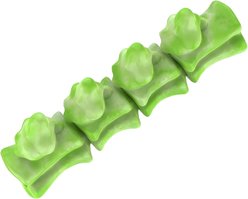 Kseroo Bamboo Bacon Flavored Nylon Dental Care Dog Chew Toy, Green