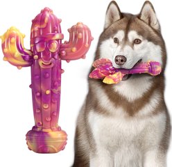 Kseroo Cactus Beef-Flavored Nylon Tough Chew Dog Toy, Purple