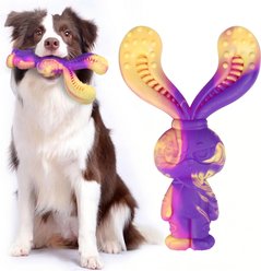 Kseroo Cute Rabbit Beef-Flavored Nylon Tough Chew Dog Toy, Purple