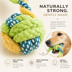 Kseroo Dental Chew Training & Tough Chewer Ropes Tug Dog Toy, Green, 7 count slide 2 of 7