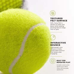Kseroo Interactive Fetch Tennis Bouncy & Training Exercise Dog Ball Toy, Green, Small/Medium, 3 count slide 2 of 6