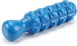 Kseroo Long Whistle Beef Flavored Nylon Dental Care Dog Chew Toy, Blue