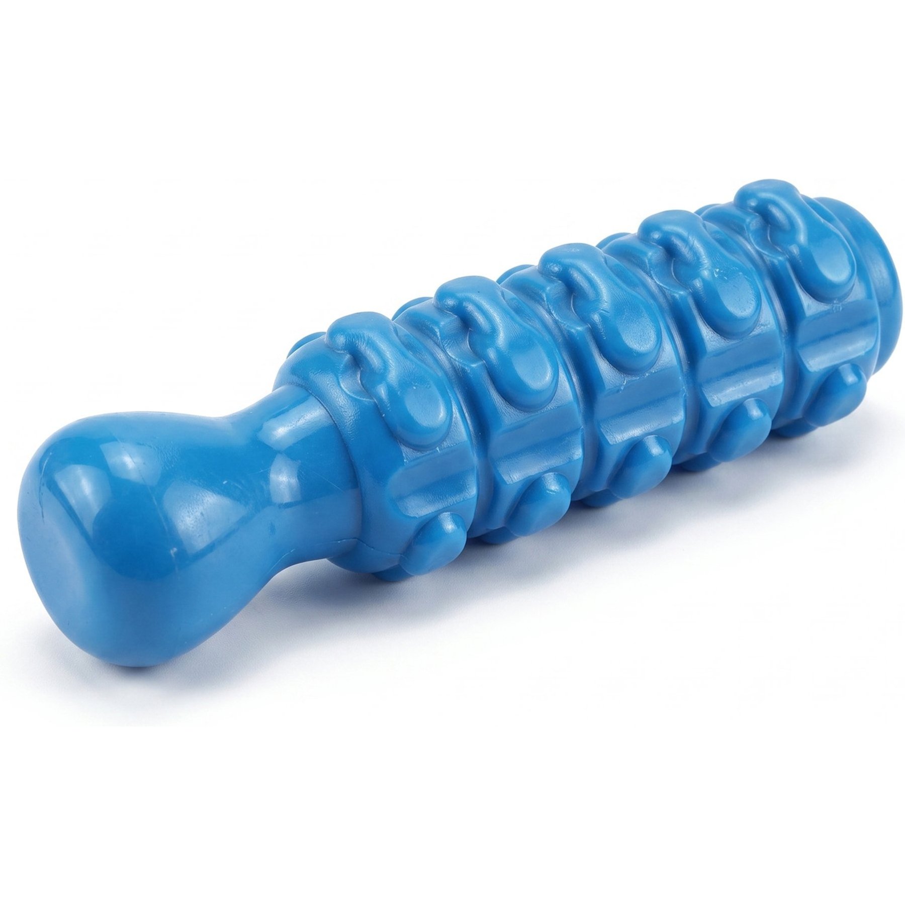 Kseroo Long Whistle Beef Flavored Nylon Dental Care Dog Chew Toy, Blue